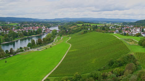 Un-Camino-Sinuoso-Divide-Los-Pastos-De-Los-Viñedos-A-Lo-Largo-De-La-Orilla-Del-Río