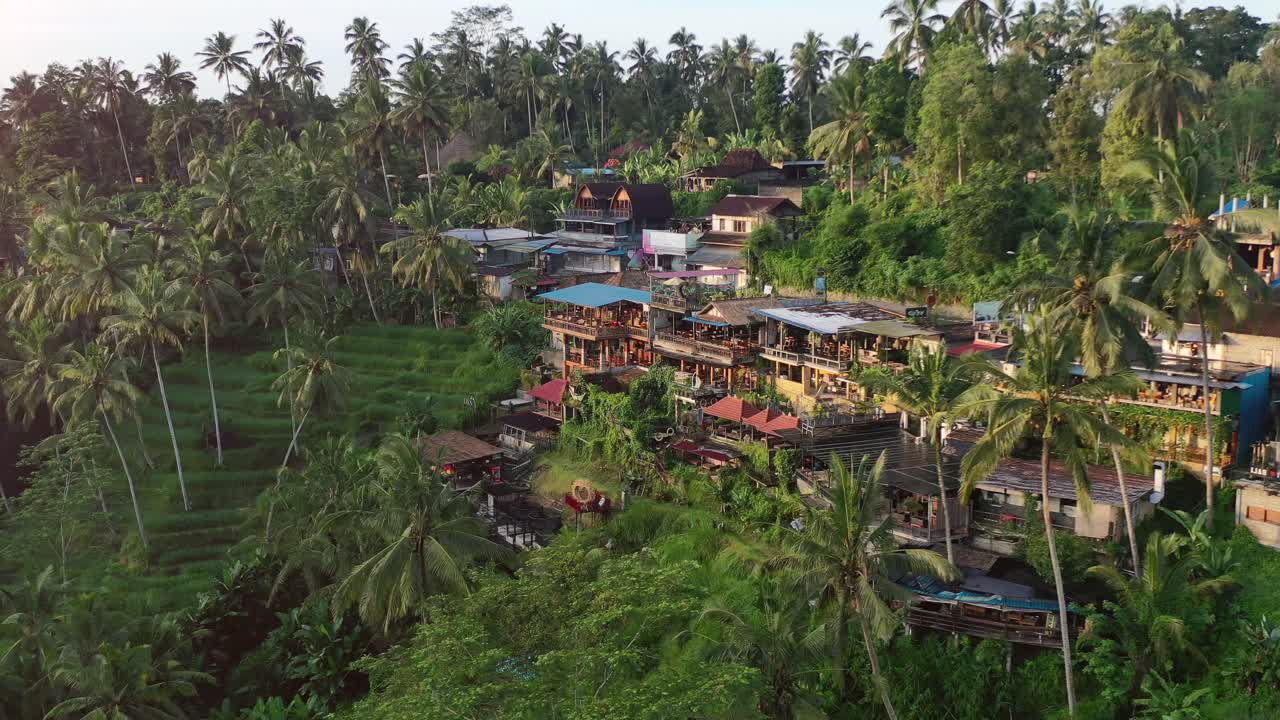 Alba sulle caffetterie a Tegallalang Rice Terrace a Ubud Bali, vista aerea.