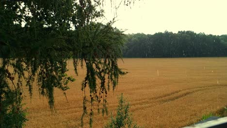 Hail-falling-out-of-the-sky-on-a-summer-day-on-a-field