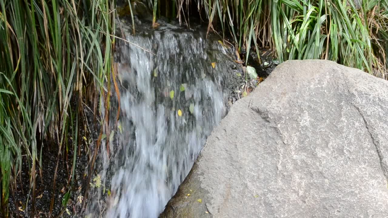 Falls