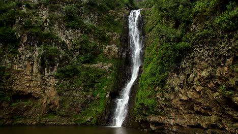 a small tropical waterfall in a jungle setting