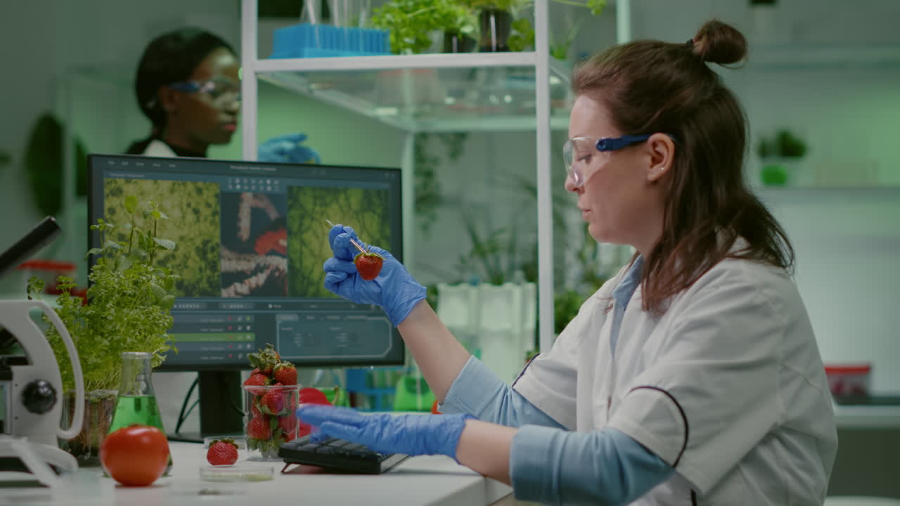 Scientist chemist checking strawberry using medical tweezers