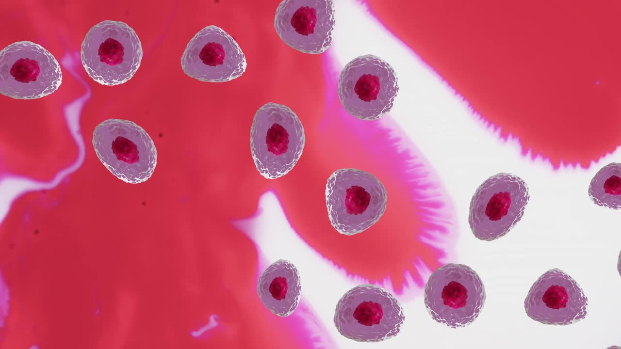 Animazione di cellule microscopiche rosse e rosa su sfondo rosso e bianco