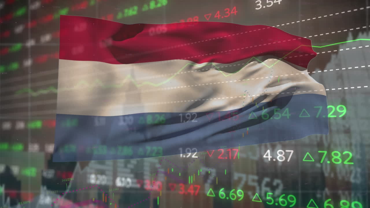 네덜란드의 발을 통해 금융 데이터 처리의 애니메이션