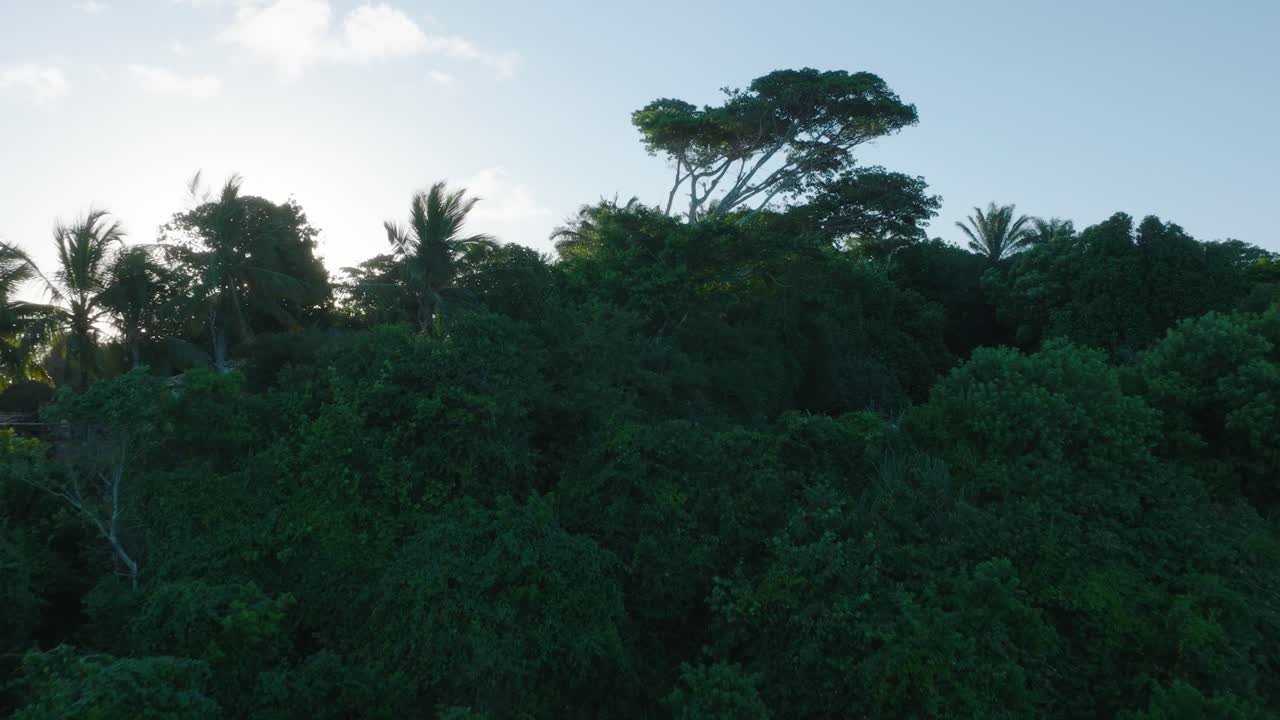 Aerial Drone View of famous beach town Trancoso in Bahia Brazil flying over Jungle and Graveyard with sun flare