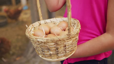 midsection of caucasian girl holding basket of eggs standing by hen house in garden