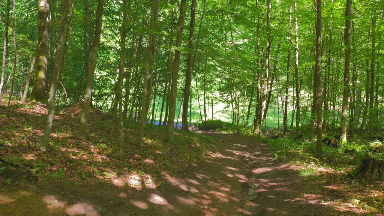 Profile view of a forest with peaceful environment in Sarrebrucken, Germany. Greenery.