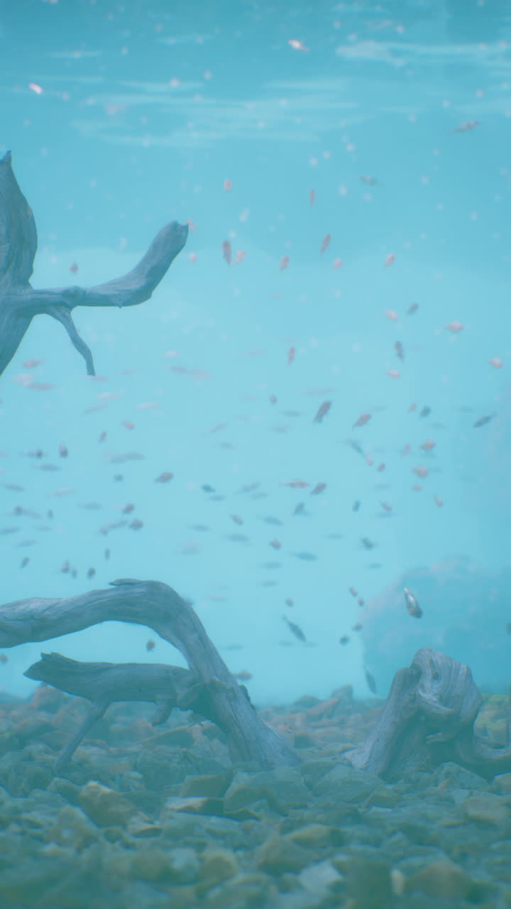 물고기 와 떠다니는 나무 들 이 있는 수중 장면