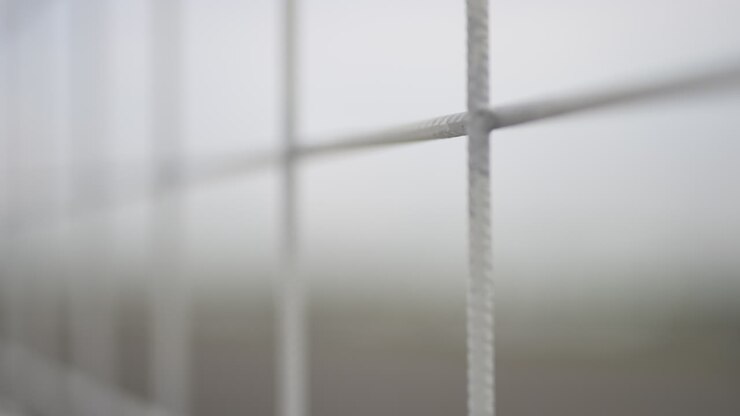 Shallow depth of focus of a fence; 50 fps slowed to 25