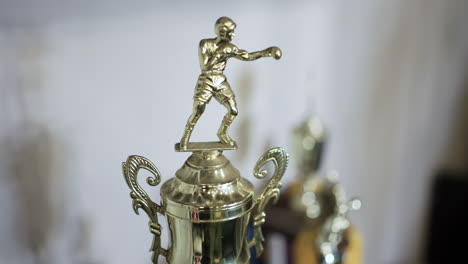 static view of boxing champions trophy