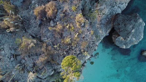 Erstaunliche-Route-Zwischen-Den-Felsen-Und-Dem-Meer-An-Den-Küsten-Der-Karibik