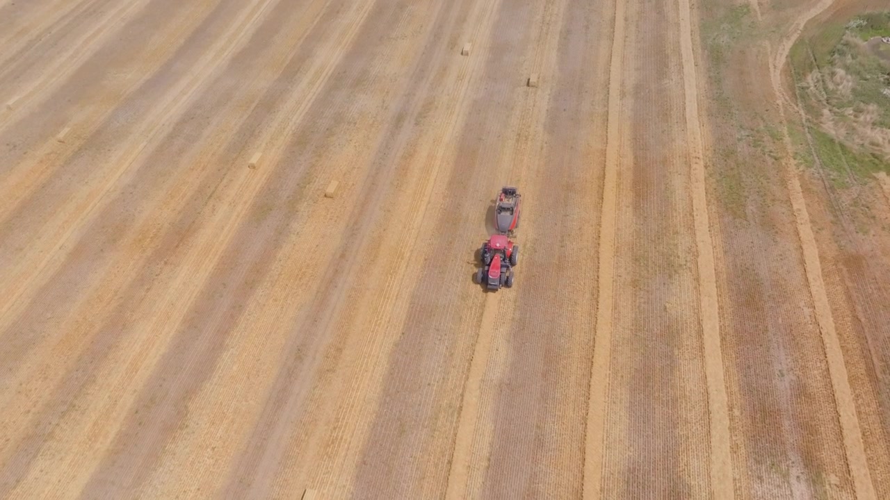 En drone følger en rød traktor, mens den samler halmrækker i Bruce County, Ontario. Et stejlt højvinkelperspektiv afslører tørre hvedestubbe og pæne parallelle mønstre.