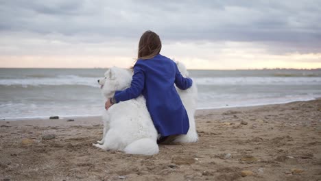 Rückansicht-Von-Zwei-Weißen-Samojedenhunden-Und-Einer-Jungen-Frau,-Die-Zusammen-Im-Sand-Am-Meer-Sitzen.-Weiße,-Flauschige-Haustiere-Am-Strand