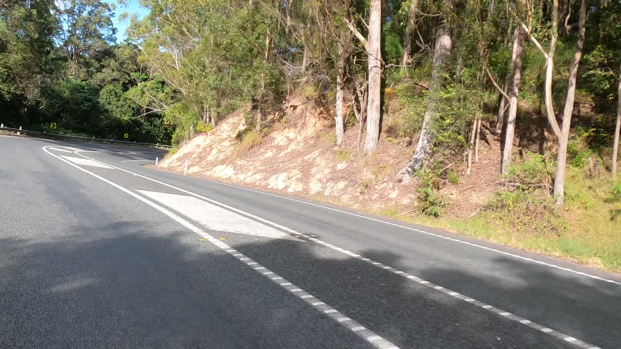 los coches navegan por la sinuosa carretera del bosque en springbrook