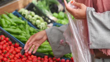 woman shopping for fresh vegetables at a market