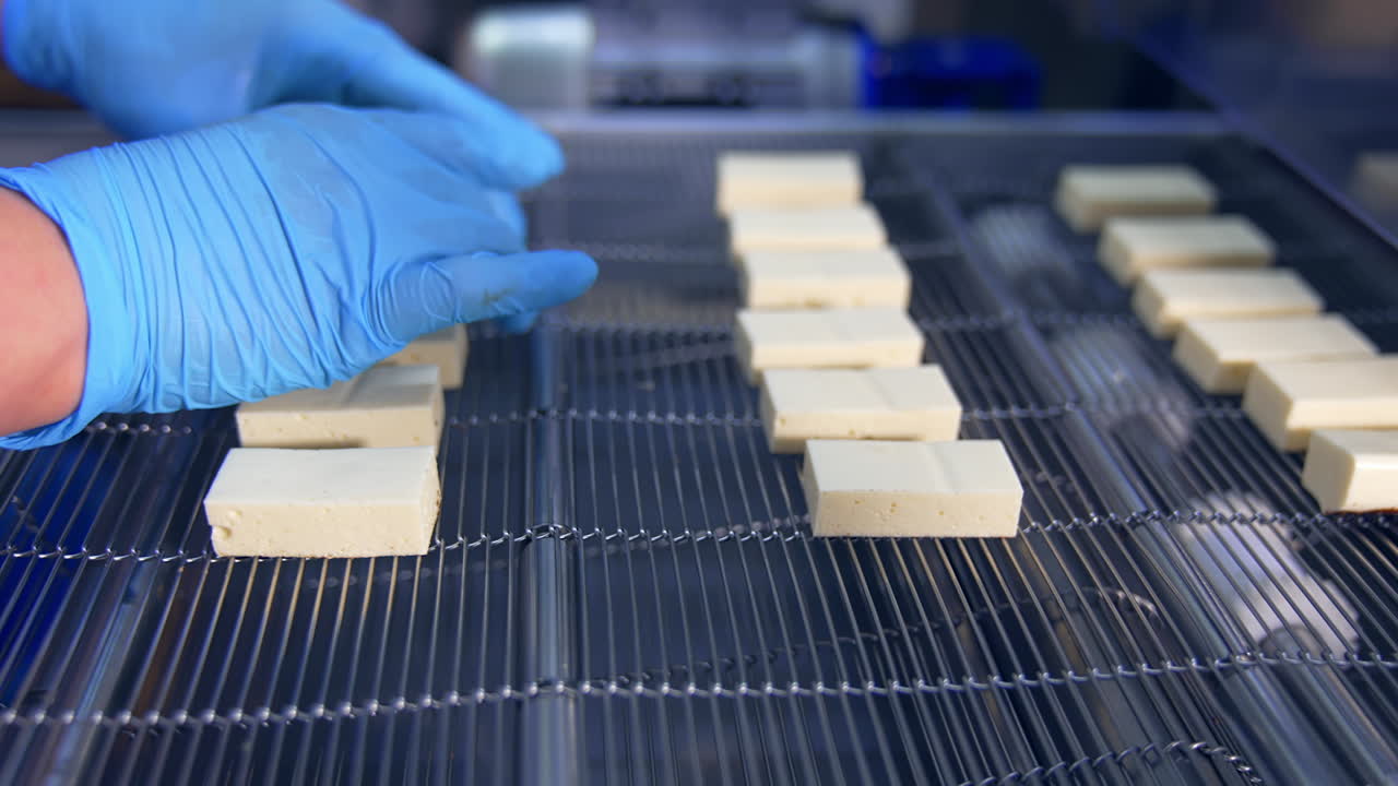 Tasty sweet candies on conveyor. Delicious factory making deserts.