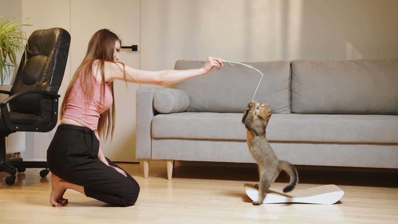 고양이와 놀고 있는 여자