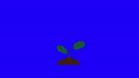 plant with 2 leaves grows and germinates on dirt mound on blue background