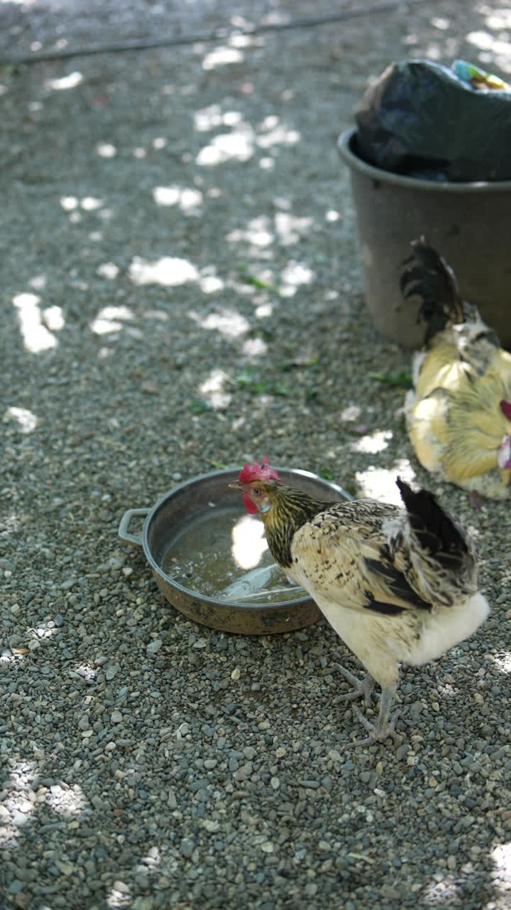 나무 에서 휴식을 취하고 있는