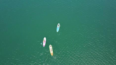 照片顯示 4 人在藍色水中滑板