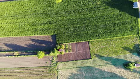 drone shot of subdivided lands, directly above view
