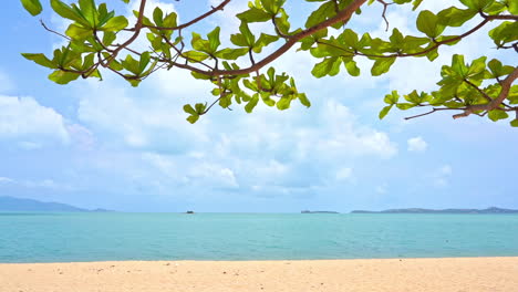 A-tree-branch-frames-an-idyllic-seascape