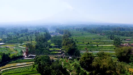 puente jokowi con vista panorámica sobre la cascada y el paisaje tópico java, aéreo