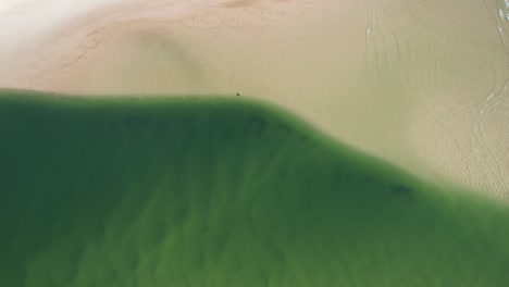 Eingang-Zum-Tallebudgera-Creek-In-Der-Nähe-Der-Landzunge-Burleigh-Am-Sandstrand-Der-Gold-Coast,-Queensland,-Australien