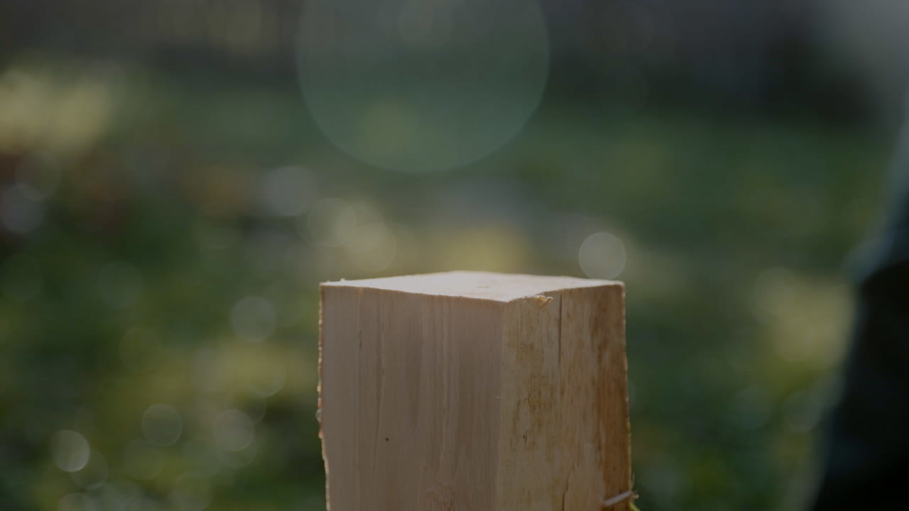 Chopping wooden log with an axe