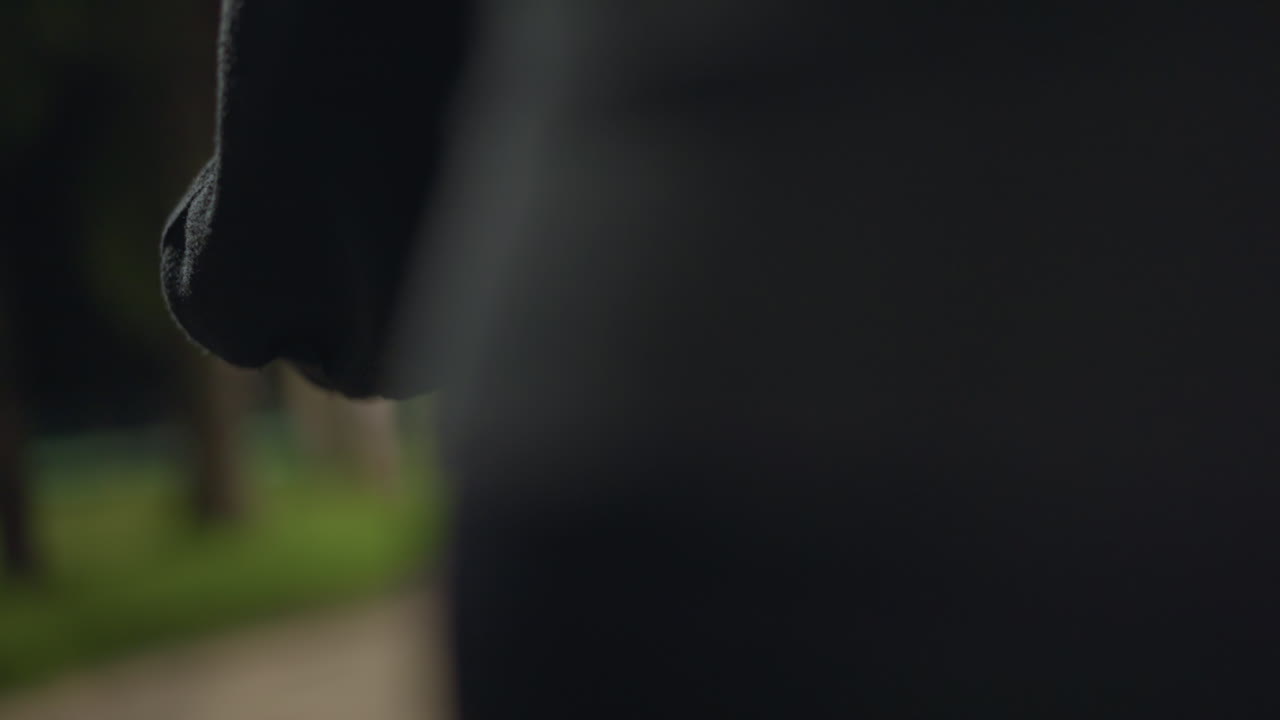 Night Park Scene, Latina Presence Along Calm Pathway, Shallow Focus With Bokeh Lights At Handlebar Lane, Serene Nighttime Atmosphere With Vibrant Lights And Cultural Hints On Handlebar Lane