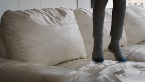 child jumping on a white sofa