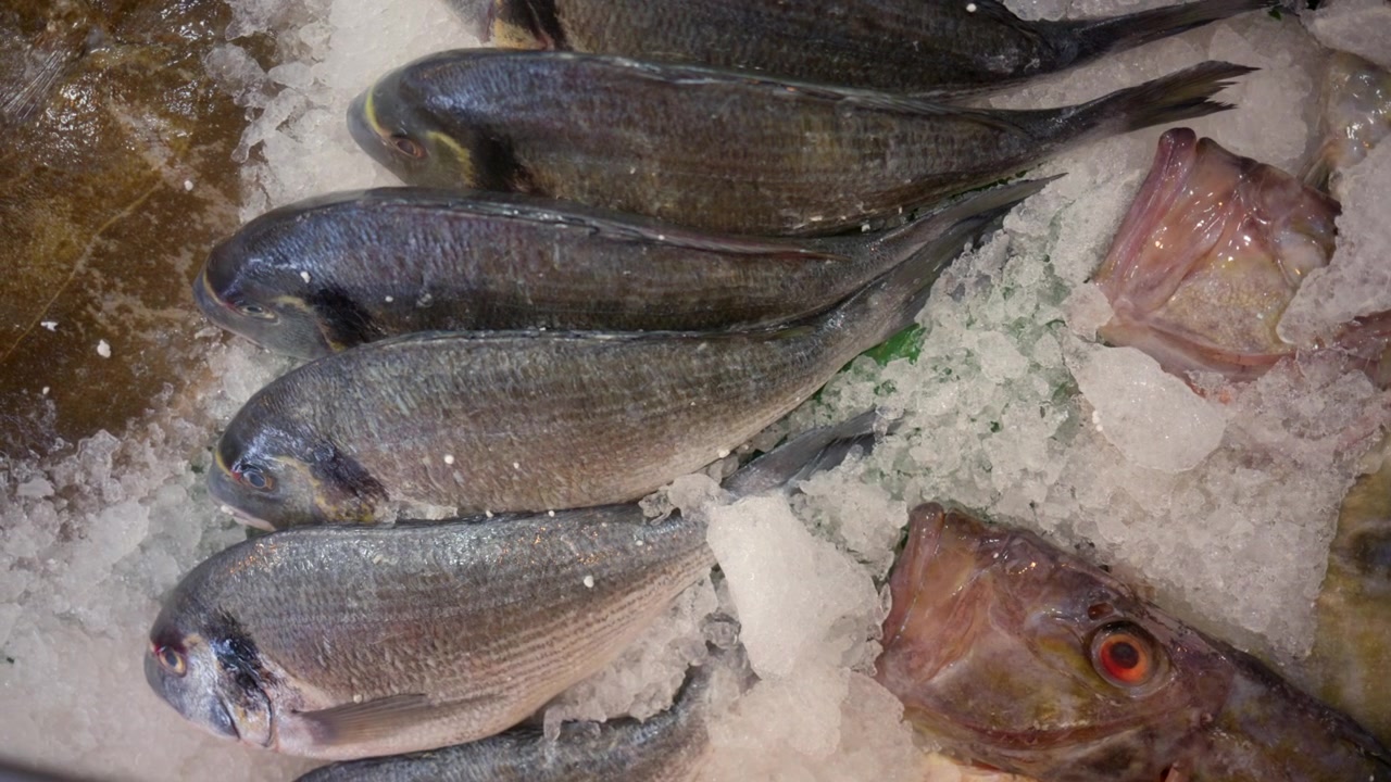 Fresh fish, including John Dory and sea bream, openly displayed on crushed ice in a seafood market or grocery store