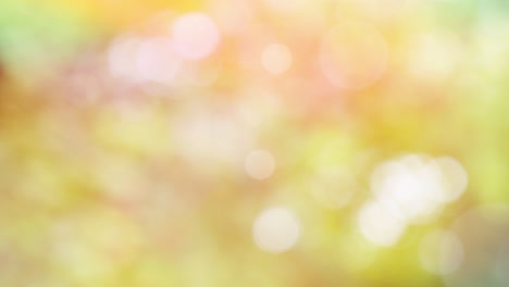 Abstract autumn background with bokeh