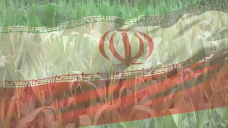 Digitale-Komposition-Der-Schwenkenden-Iranischen-Flagge-Vor-Der-Nahaufnahme-Von-Feldfrüchten-Auf-Dem-Bauernhof