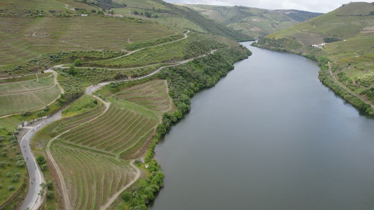 Aerea - Fiume Douro costeggiato da strade tortuose e pendii terrazzati di vigneti