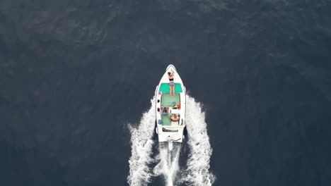 a drone captures a scenic seashore as a speedboat swiftly cuts through the water, heading toward the shore, creating a vibrant and picturesque coastal scene.