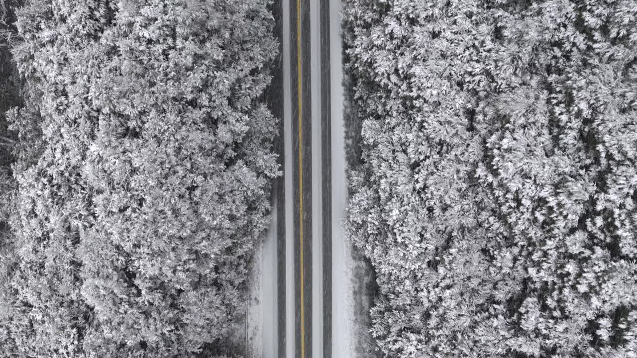 Top-down aerial drone view of Route 40 crossing a snow-covered forest near Bariloche Patagonia Argentina, winter road trip and adventure