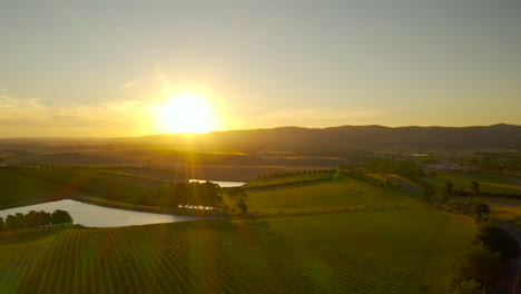 Perspectiva-Aérea-Izquierda-Panorámica-Lenta-Sobre-El-Espectacular-Paisaje-De-Viñedos-Con-Destello-De-Lente-En-El-Valle-De-Yarra,-Victoria,-Australia