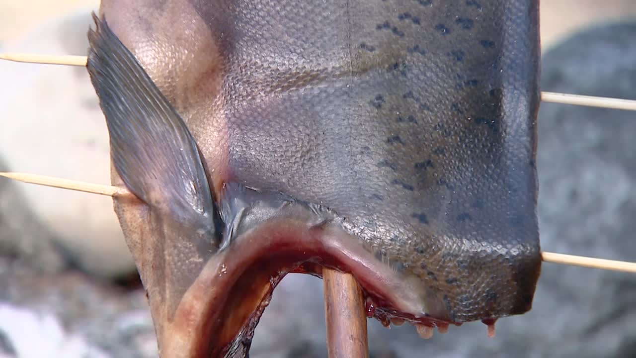 생선을 화덕에 꼬치에 꽂아 훈제 생선을 석쇠에 굽는 모습 2016