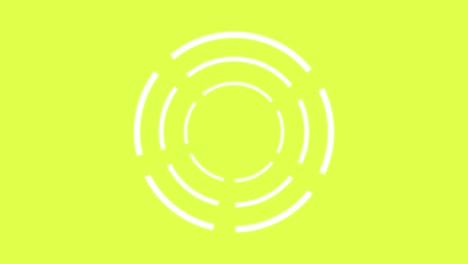 circle rotation split pop animation motion graphics