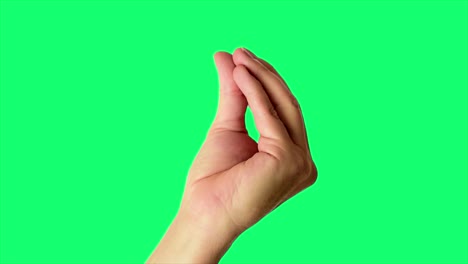 close up shot of a male hand throwing an italian-style perfect sign, against a greenscreen background ideal for chroma keying