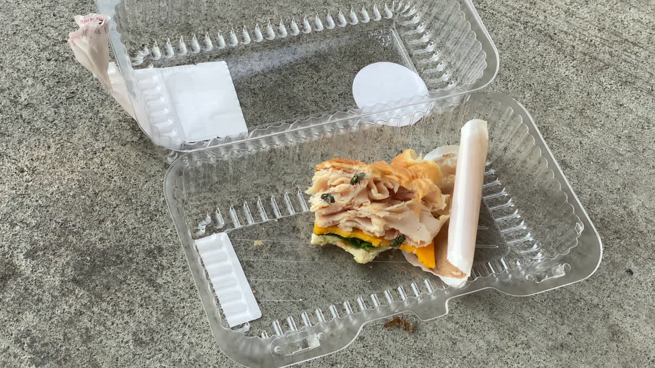 recipiente de plástico abandonado con sándwich medio comido pudriéndose y moscas pululando a su alrededor