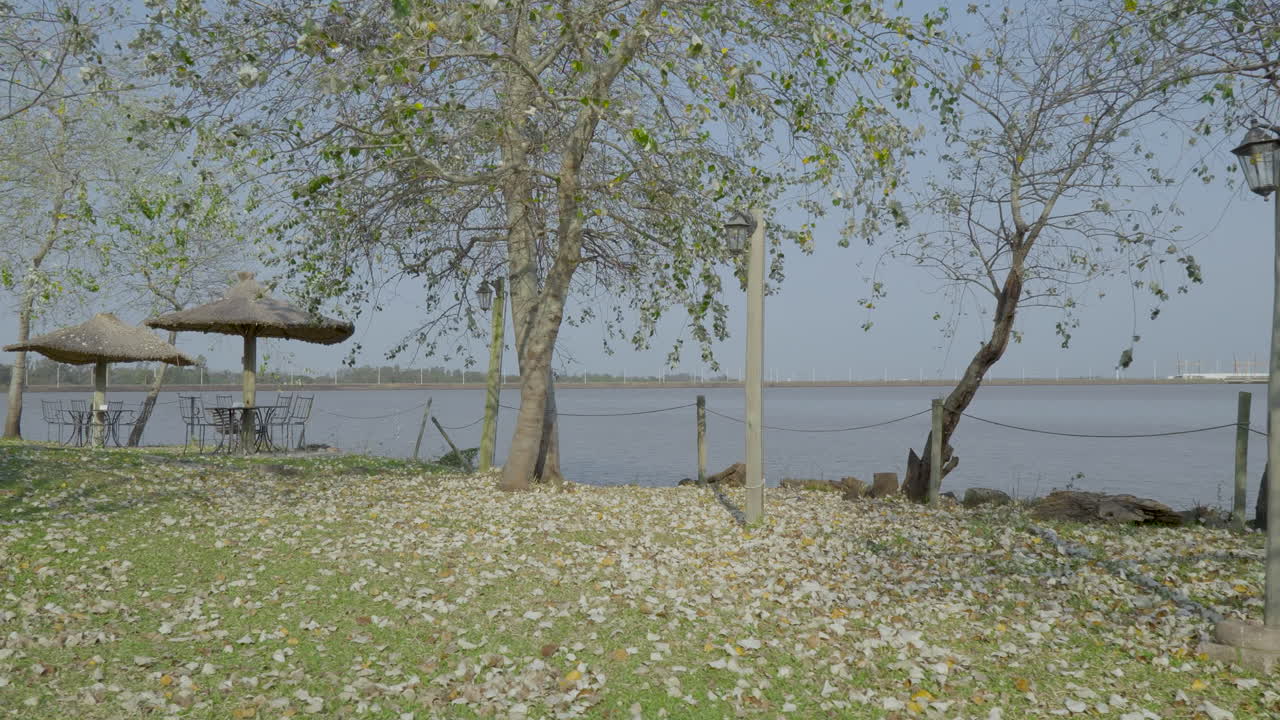 은 날 나무 에 잔디 우산, 어진 잎자루, 야외 테이블이 있는 평화로운 강변 환경