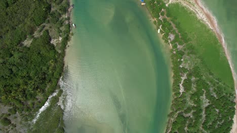 flying over the beach of são miguel dos milagres beach in the state of alagoas, brazil.