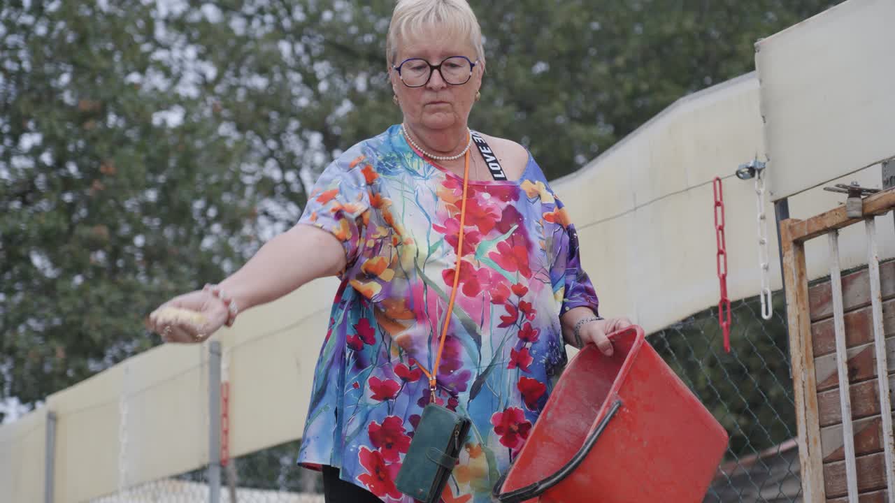 Caucasian woman scattering grains from a feeder to provide food for chickens at farm