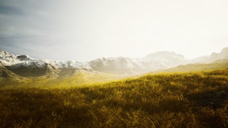 dry grass and snow covered mountains in alaska