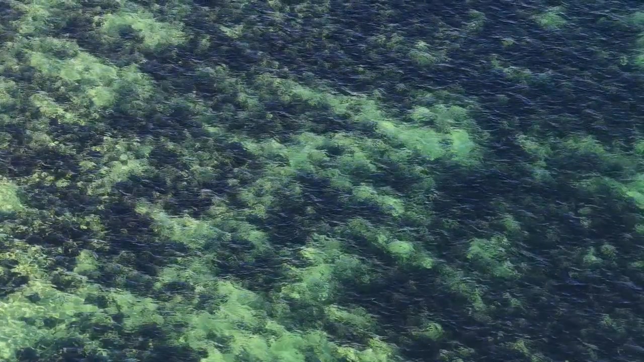 Top-down aerial shot of clear turquoise sea water over rocky reef in Australia.