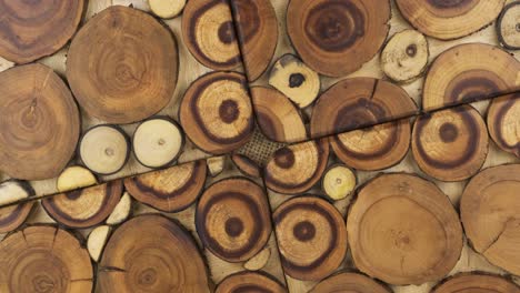 textura de madera de forma redonda. panel de madera hecho de cortes de un tronco de árbol. secciones cortadas de diferentes tamaños para alfombra de almohadilla