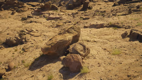 rock formations scattered across a desert landscape under bright sunlight