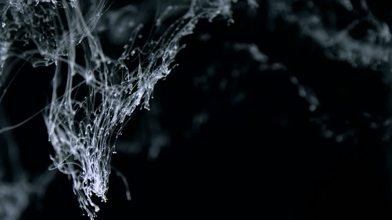 abstract black ink in water on white background.
